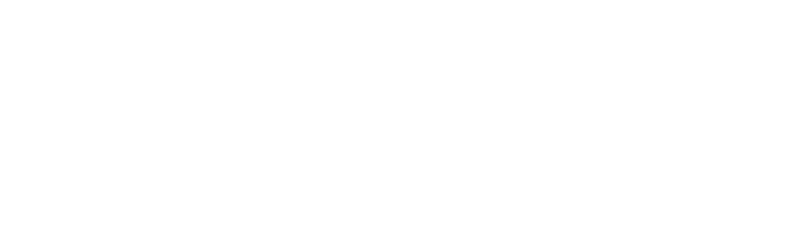 Logo Van Heijningen wit